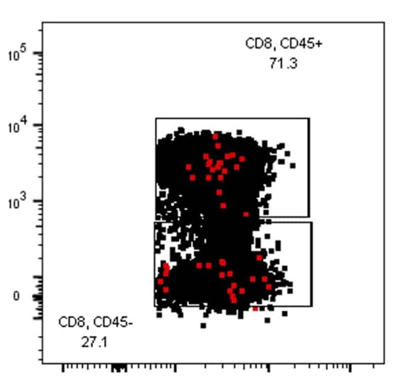 Circulating and resident CD8+ cells spotting