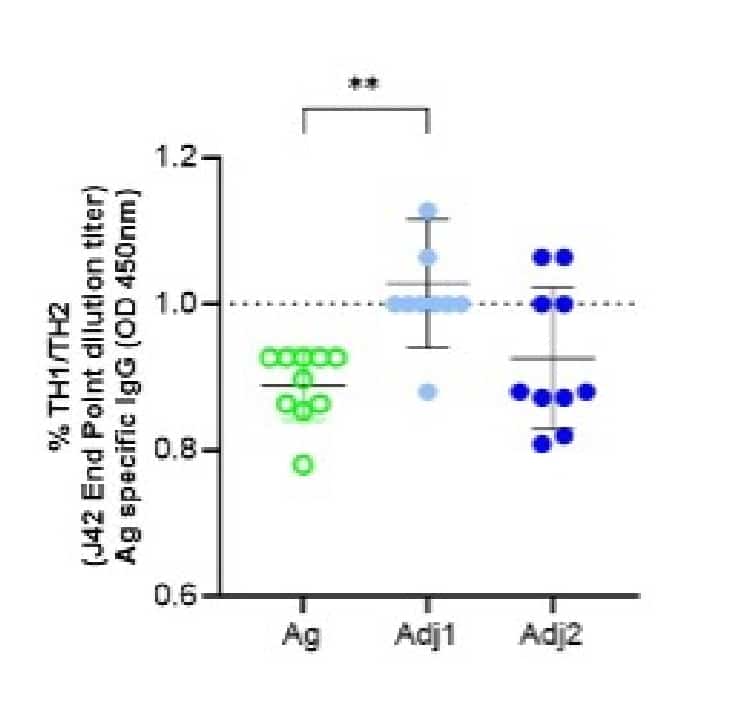 TH1/TH2 profile determination