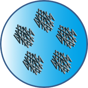 Polymer dispersion Polymeric adjuvant