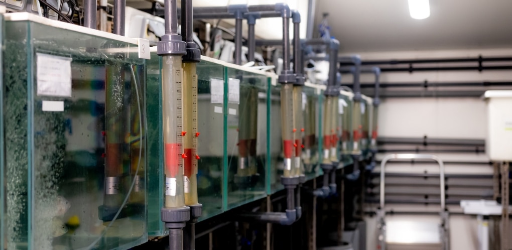 State-of-the-art facilities
