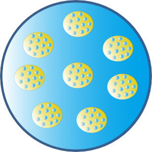 Water in oil in water (W/O/W) Dual properties
